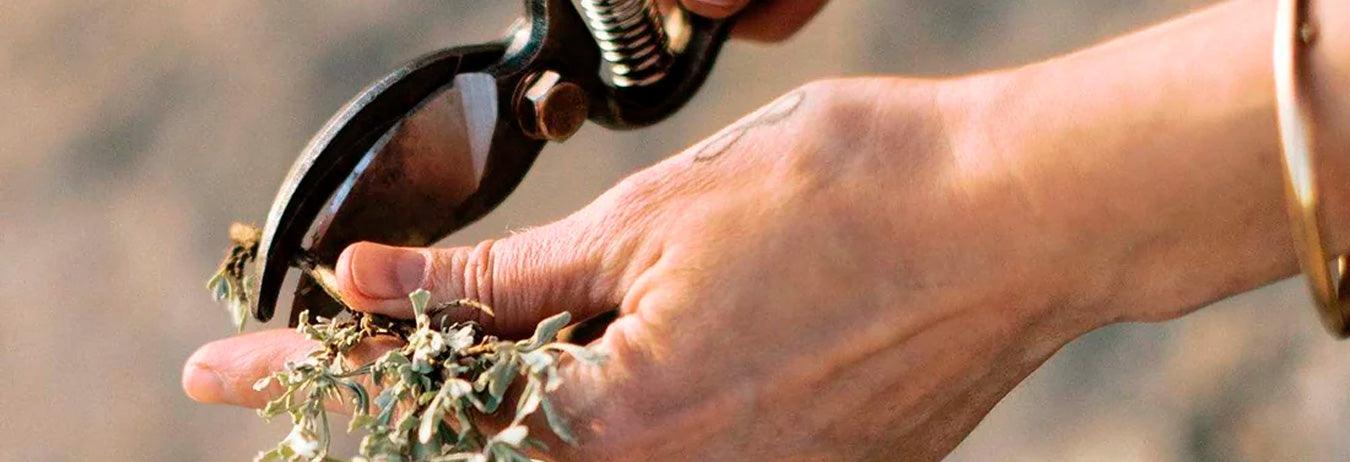 Gardening Tools - Urban Kit Supply