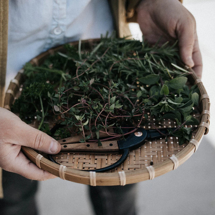 Barebones Garden Scissors - Walnut