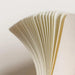 Leuchtturm1917 Notebook Medium (A5) - Hardcover